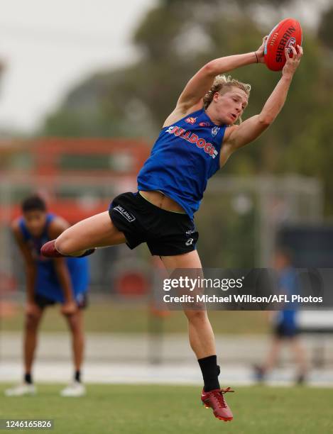 Cody Weightman of the Bulldogs in action during the Western Bulldogs training session at Skinner Reserve on January 12, 2023 in Melbourne, Australia.