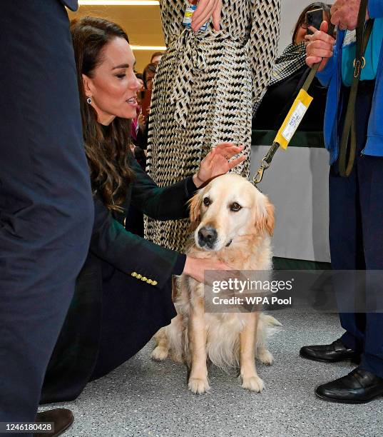 Catherine, Princess of Wales meets Therapy Dog Golden retriever 'Rosie' as she and Prince William, Prince of Wales visit the Royal Liverpool...