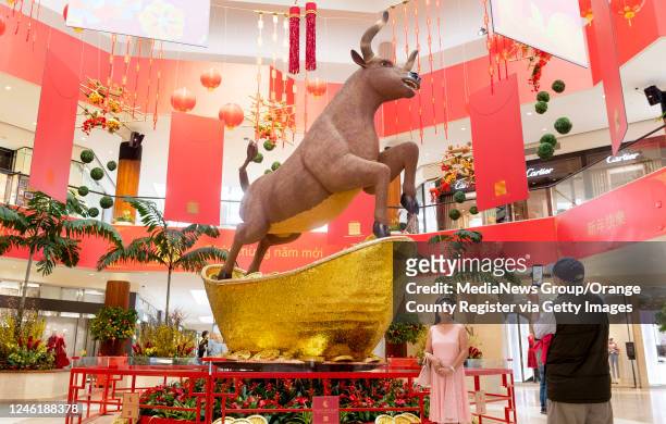 Visitors to South Coast Plaza take photos in front of a Lunar New Year centerpiece for the Year of the Ox in Costa Mesa, CA on Thursday, February 11,...