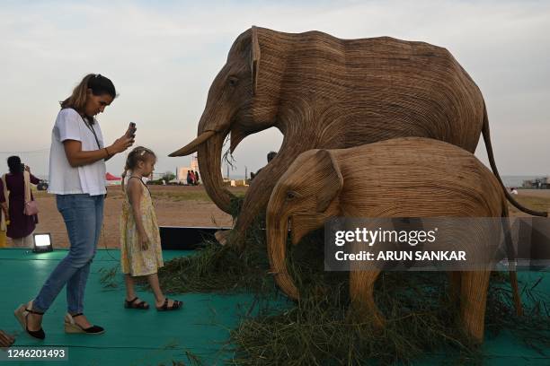 Visitor takes pictures of elephant replicas made from lantana camara, an invasive weed species from the Nilgiris range, on display to create wildlife...