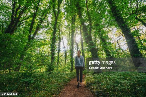 森の中を一人で歩く女性 - surrounding ストックフォトと画像