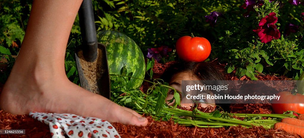 Hide and seek in garden