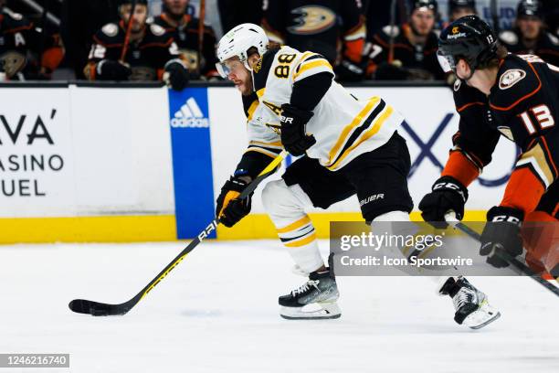 Boston Bruins right wing David Pastrnak skates with the puck during the NHL hockey game between the Boston Bruins and the Anaheim Ducks on January 8,...