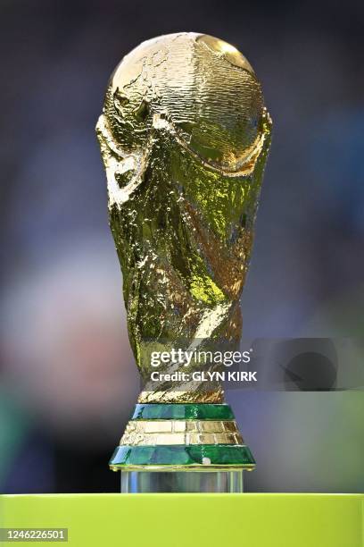 Replica of the FIFA World Cup trophy is seen on display pitch-side ahead of the English Premier League football match between Brighton and Hove...