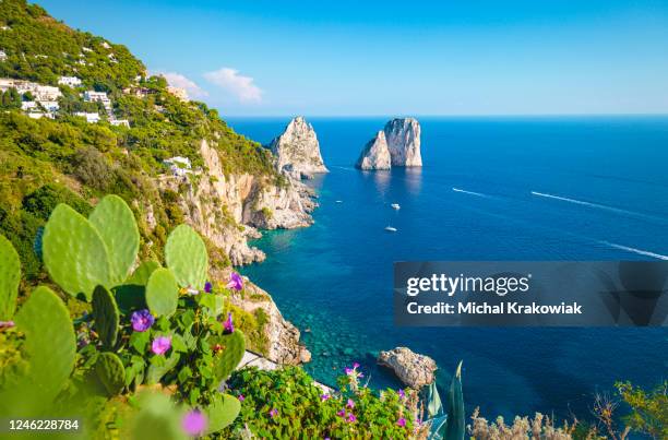 costa de rocky capri. - capri - fotografias e filmes do acervo