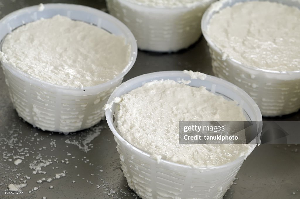 Ricotta cheese