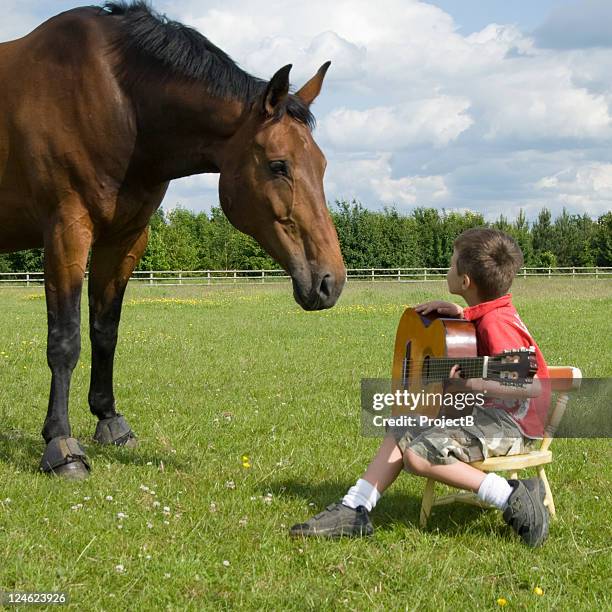 gentle horse with child - horses playing stock pictures, royalty-free photos & images