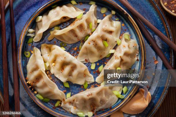 steamed dumplings with soy sauce and green onions - bolinho de massa imagens e fotografias de stock