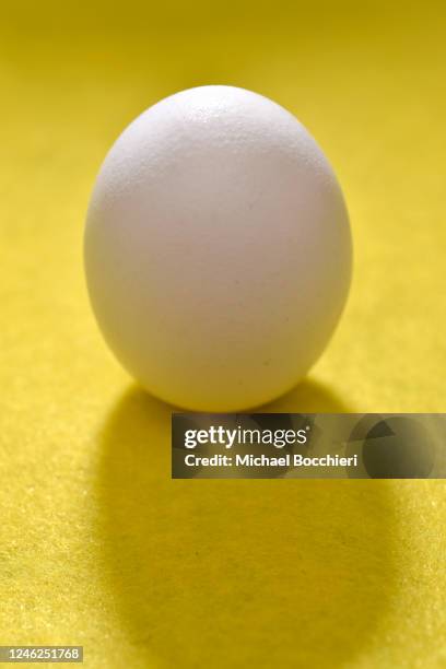 January 14: In this photo illustration, a chicken egg is seen on a yellow background on January 14, 2023 in NORTH HALEDON, NEW JERSEY. Prices of eggs...