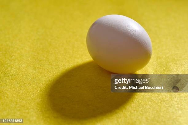 January 14: In this photo illustration, a chicken egg is seen on a yellow background on January 14, 2023 in NORTH HALEDON, NEW JERSEY. Prices of eggs...