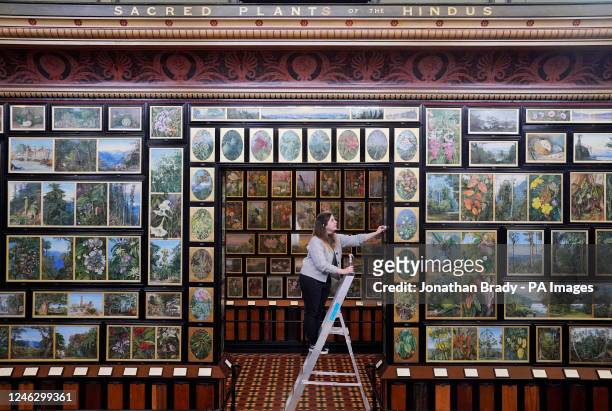 Gallery and Exhibition Assistant Shannon Towell undertakes part of the cleaning and maintenance project at Kew Gardens' Marianne North Gallery, Kew,...