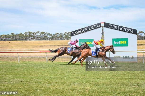 Australia Riddle Dean Riddle Photos and Premium High Res Pictures - Getty Images