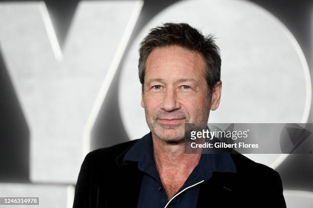 David Duchovny at the premiere of "You People" held at the Regency Village Theatre on January 17, 2023 in Los Angeles, California.
