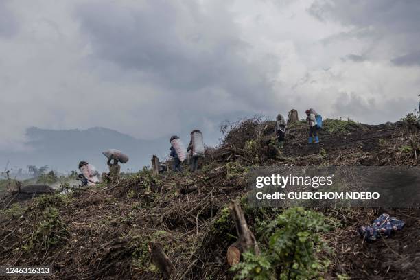 Internally displaced people carry charcoal from the forest at the foot of Nyiragongo volcano in Virunga National Park on January 13 to the market in...