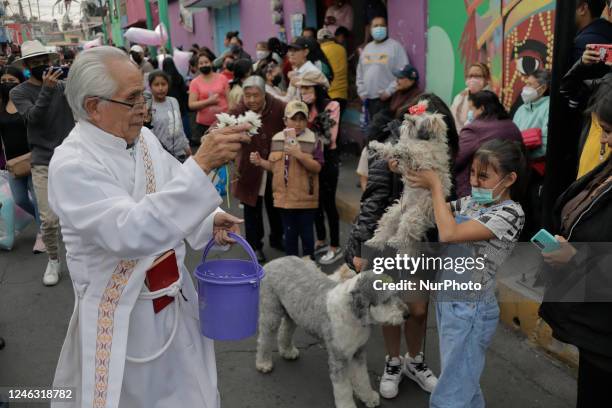Priest blesses dogs, cats, birds, horses and other animals outside a parish church in Mexico City, on the occasion of St. Anthony Abbot's Day, the...