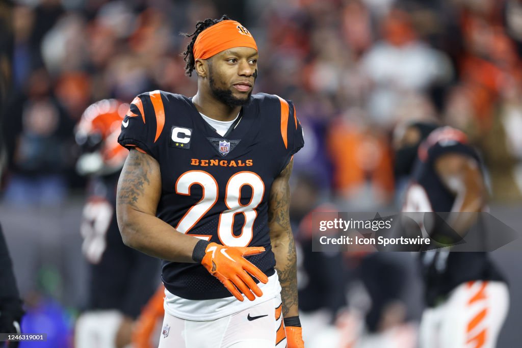 NFL: JAN 15 AFC Wild Card Playoffs - Ravens at Bengals