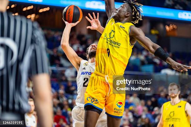 Sergio Llull in action during the basketball match between Real Madrid and Gran Canaria valid for the matchday 15 of the spanish basketball league...