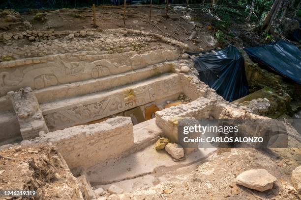 View a Mayan frieze found in El Mirador archaeological site in San Andres, Guatemala, on January 17, 2023 - Among the vast green mantle of the jungle...