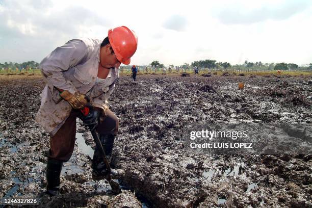 Empleados de la empresa estatal Petróleos Mexicanos , trabajan en un derrame de crudo en el poblado La Ceiba, en el municipio de Cunduakan, estado de...