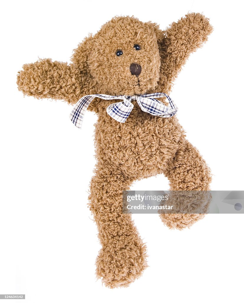 Teddy Teddybär