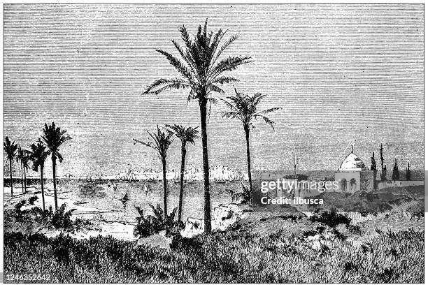 ancient illustration: tripoli - libya stock illustrations