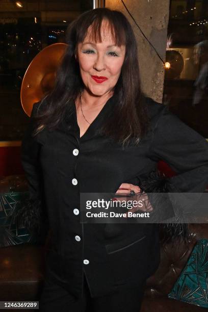 Frances Barber attends the press night after party for "The Unfriend" at Wonderville on January 19, 2023 in London, England.