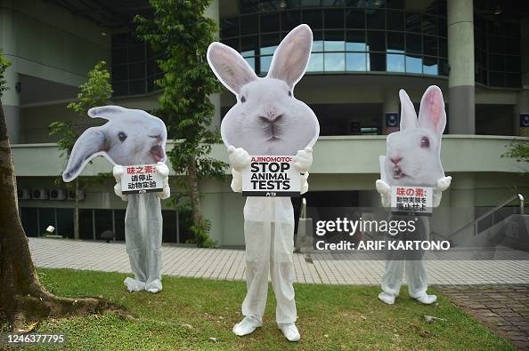 Red Rabbit Protest Animal rights activists dressed up as rabbit carry signs that read ...