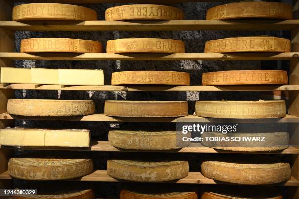 Shelf with Swiss Gruyere cheese is pictured on the opening day of the International Agriculture Fair 'Green Week' in Berlin on January 20, 2023.