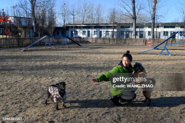 Staff of a dog hotel plays with dogs at a yard during the upcoming lunar new year in Beijing on January 20, 2023. - At Zhou Tianxiao's hotel in...