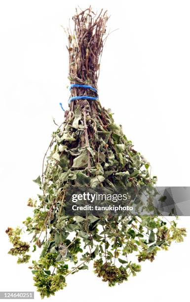 oregano - oregano stock pictures, royalty-free photos & images