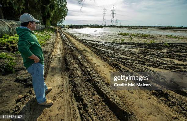 Raul Ortiz owner of Color View Floral, looks at what remains of the 2 and 1/2 acres of flowers he grows at a farm in Ventura that was flooded out as...