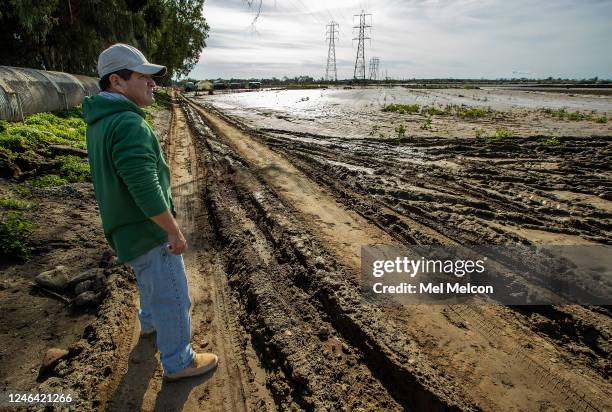 Raul Ortiz owner of Color View Floral, stands near what remains of the 2 and 1/2 acres of flowers he grows at a farm in Ventura that was flooded out...