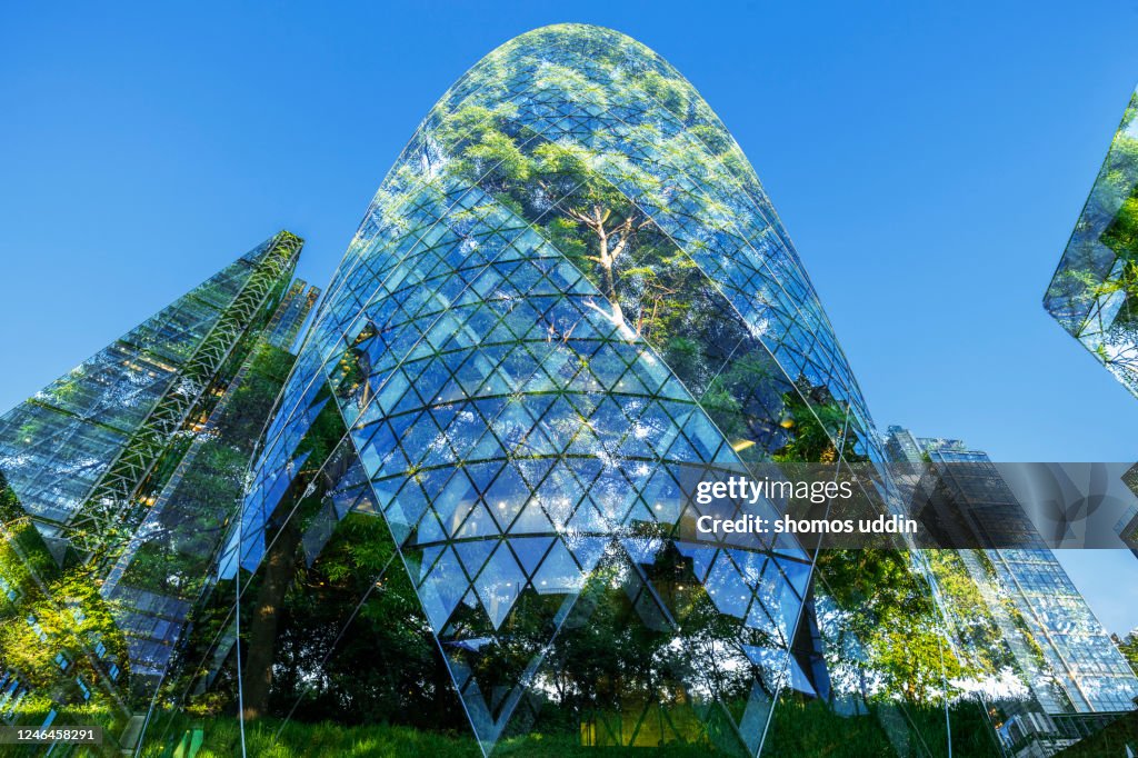 Abstract of city skyscrapers and trees