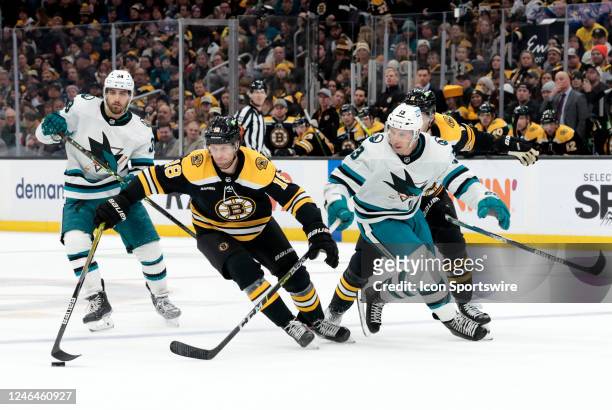 Boston Bruins left wing Pavel Zacha takes the puck from San Jose Sharks left wing Nick Bonino during a game between the Boston Bruins and the San...