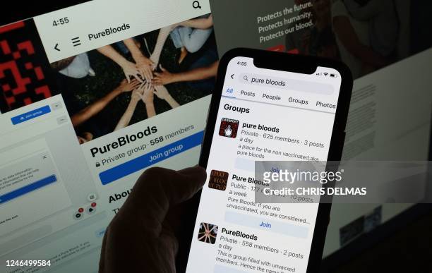 In this illustration photo a person looks at anti-vaccine "pure blood" movement websites and Facebook groups in Los Angeles, January 20, 2023. -...