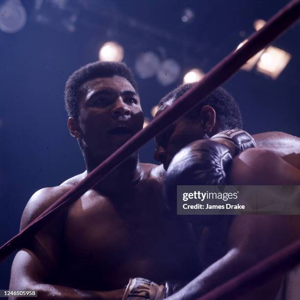 Muhammad Ali Ropes 1,211 Tangled Rope Stock Photos, High-Res Pictures, and Images - Getty ...