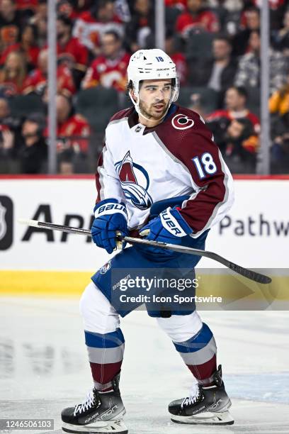 Colorado Avalanche Left Wing Alex Newhook looks on after a whistle during the first period of an NHL game between the Calgary Flames and the Colorado...