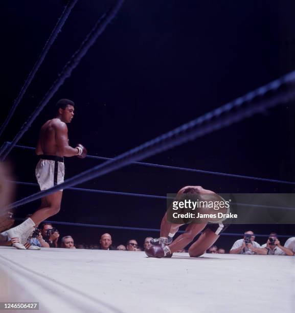 World Heavyweight Title: Muhammad Ali in action, stands over Cleveland Williams after knocking him down during fight at Houston Astrodome. Houston,...