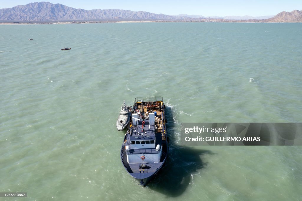 MEXICO-US-CONSERVATION-VAQUITA-PORPOISE