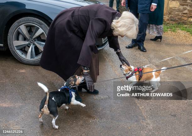 Britain's Camilla, Queen Consort reacts as she meets her Terrier rescue dogs Bluebell and Beth, during a visit to Lacock, near Chippenham, western...