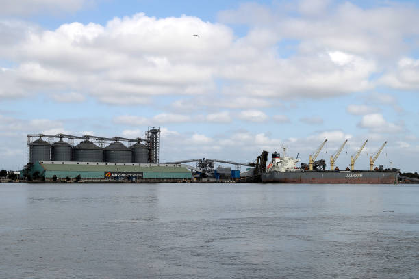 AUS: Newcastle Coal and Grain Terminals ahead of Australia Trade Figures