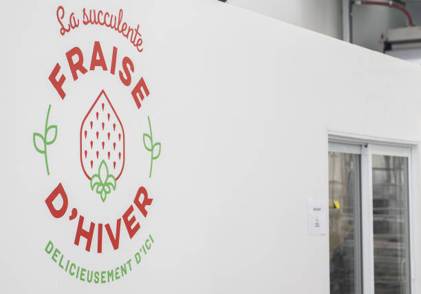 CAN: Operations At La Ferme D'Hiver Vertical Strawberry Farm