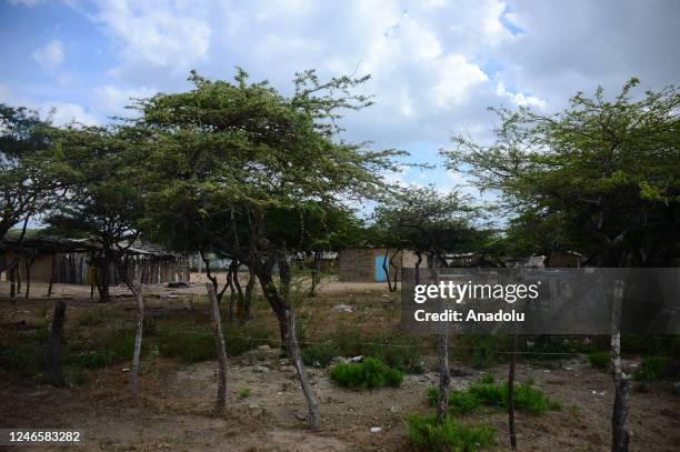 View of a Wayuu settlement in Riohacha, La Guajira, Colombia, on January 13, 2023. On a beach called "Camarones" in Northern Colombia, there is one...