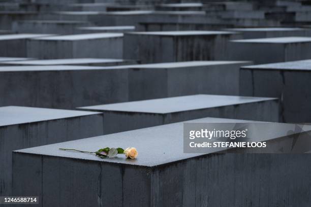 Rose has been placed on a memorial stele at The Memorial to the Murdered Jews of Europe, also known as The Holocaust Memorial, in Berlin, Germany on...