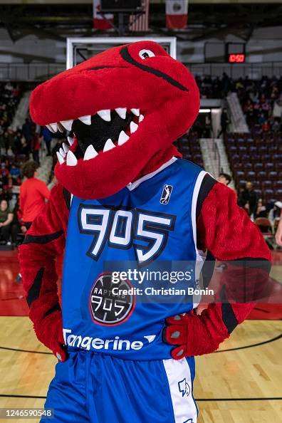 Riverside Raptors Rvc Mascot Raptors 905 mascot Stripes poses for a photo at centre court before ...