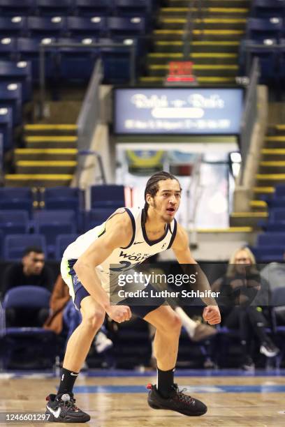 Elleby of the Iowa Wolves playing defense during the game against the Westchester Knicks on January 22, 2023 in Bridgeport, CT. NOTE TO USER: User...