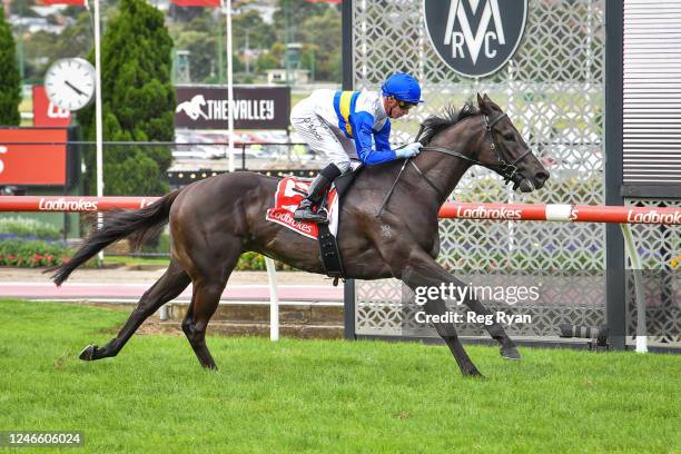 Jigsaw ridden by Daniel Moor wins the MA Services Group Australia Stakes at Moonee Valley Racecourse on January 28, 2023 in Moonee Ponds, Australia.