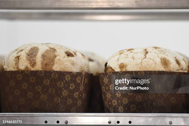 Panettone cakes are seen during edition number 45 of SIGEP Fair in Rimini, Italy, on january 24, 2023.