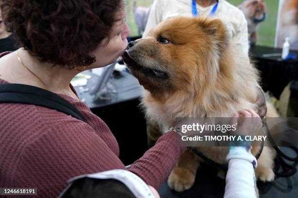 Woman kisses a Chow Chow during the American Kennel Club's annual Meet the Breeds event at the Jacob K. Javits Convention Center in New York on...