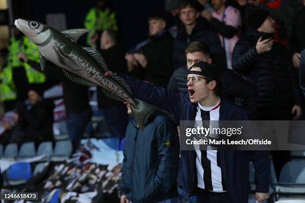 Harry Haddock Inflatable Inflatable Fish Photos and Premium High Res Pictures - Getty Images